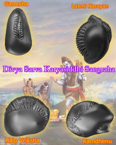 Auspicious Divya Sarva Karyasiddhi Sangraha-DKS001